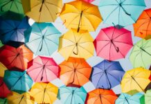 “고장난 우산 버리지 말고 고쳐 쓰세요!” 광진구, 2024년 칼갈이‧우산수리 사업 본격 개시