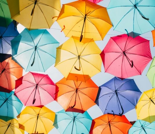 “고장난 우산 버리지 말고 고쳐 쓰세요!” 광진구, 2024년 칼갈이‧우산수리 사업 본격 개시