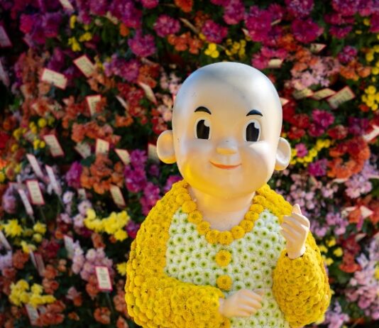 “대학생 여러분, 동행축제에 오세요“