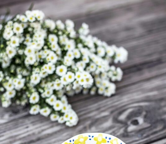 혈액순환의 중요성과 혈액순환에 좋은 차 추천.