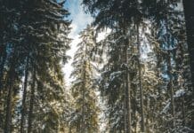 겨울철 부상, 미리 예방하고 건강하게 겨울나기