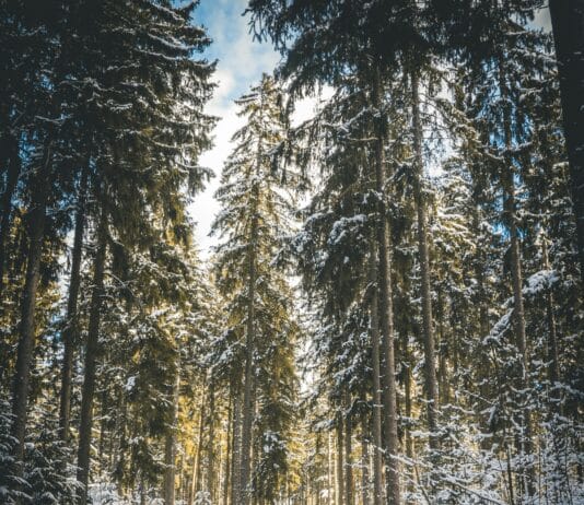 겨울철 부상, 미리 예방하고 건강하게 겨울나기
